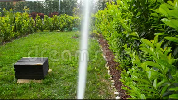 用洒水车浇灌郁郁葱葱的绿色家园花园视频的预览图