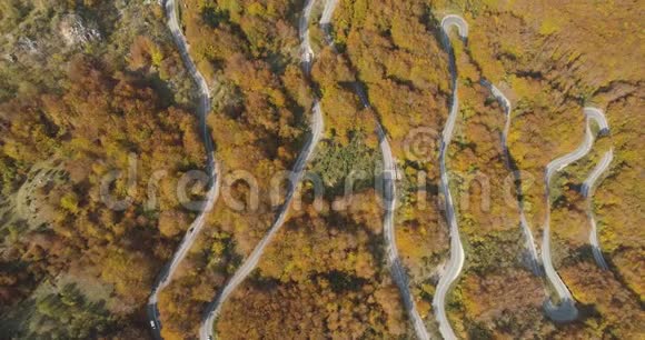 秋山路景从上视频的预览图