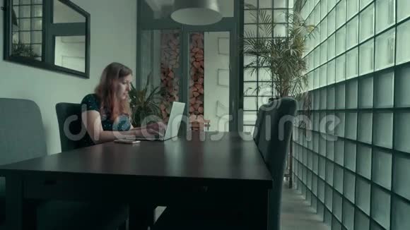 孕妇使用笔记本电脑视频的预览图