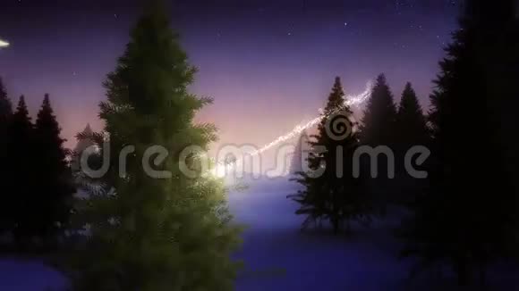 神奇的光芒环绕着雪白的圣诞树视频的预览图