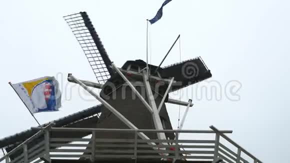 荷兰风景中的风车视频的预览图