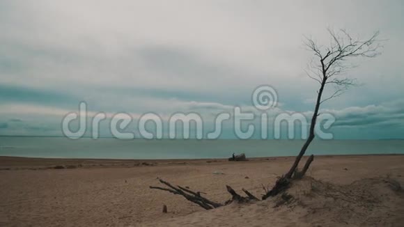一个孤独的人沿着海滩散步视频的预览图