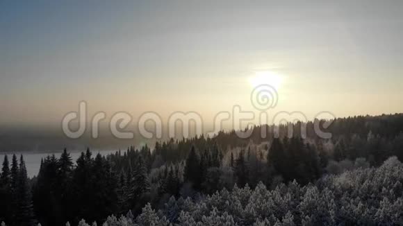 空中积雪覆盖的树木在无人机上射击一幅完美的冬季仙女景观上面有一片松林视频的预览图