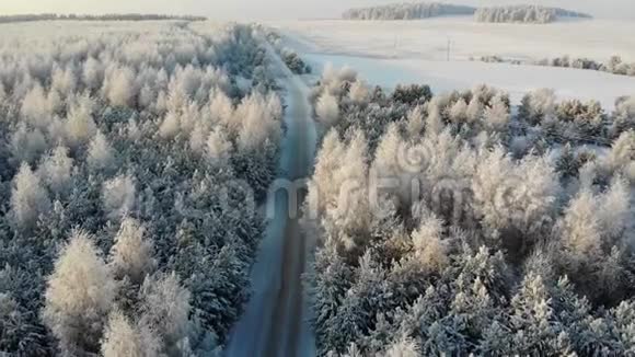 空中积雪覆盖的树木在无人机上射击一幅完美的冬季仙女景观上面有一片松林视频的预览图