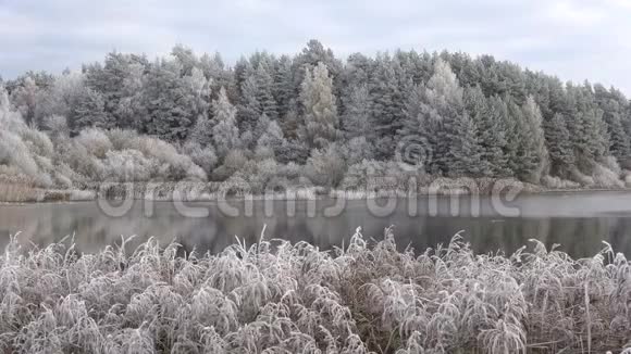 十月池塘上的霜冻普斯科夫州布格罗沃视频的预览图