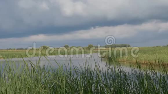 带着芦苇的暴风雨云在湖面上视频的预览图