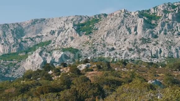 离福洛斯不远的美丽雄伟的洛矶伦山脉视频的预览图