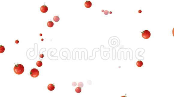 樱桃番茄在白色背景下飞过空气健康幸福的概念视频的预览图