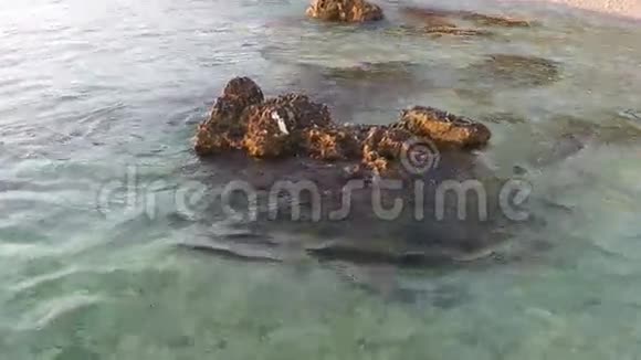 海滩上的岩石有波浪视频的预览图
