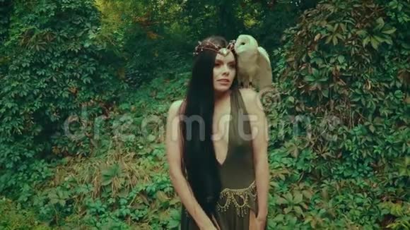 一个长着深色头发的森林若虫带着一只白猫头鹰行走一个穿着不寻常的绿色连衣裙的女孩领口很深视频的预览图