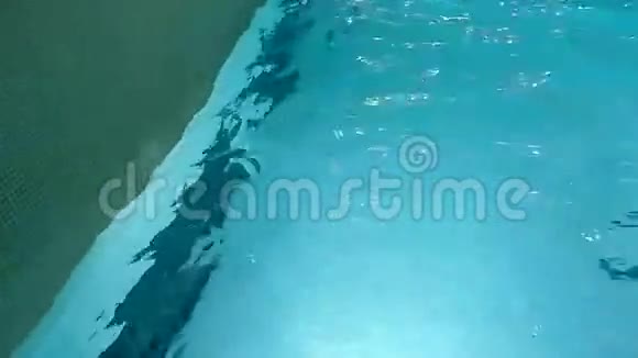 游泳池里的水视频的预览图
