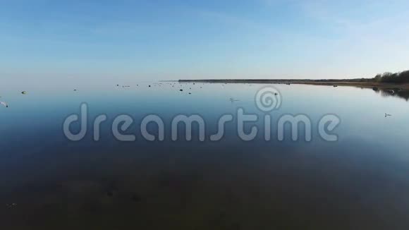 4K神奇的飞行与鸟在海面上空的日落石在水中鸟瞰视频的预览图