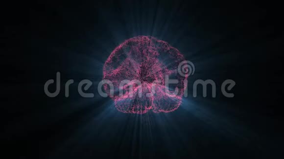 借助神经麻痹抽象计算机大脑处理信息视频的预览图