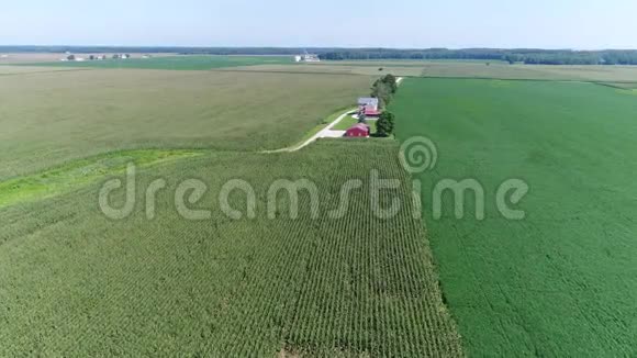 鸟瞰特拉华州的玉米大豆田和农场视频的预览图