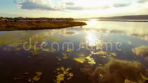 飞过沼泽和池塘视频的预览图