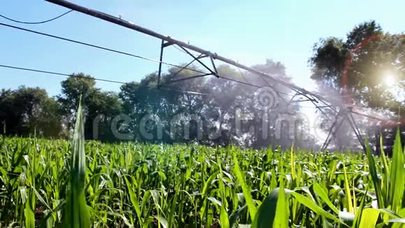 灌溉洒水车视频的预览图
