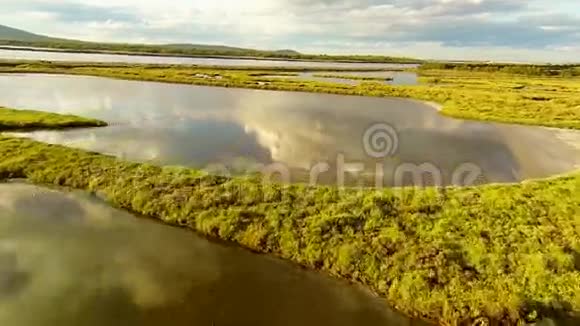 飞过沼泽和池塘视频的预览图