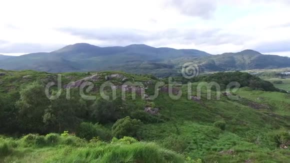 爱尔兰基拉尼国家公园山谷的河流81视频的预览图