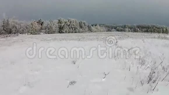 空中拍摄的雪覆盖的田野视频的预览图
