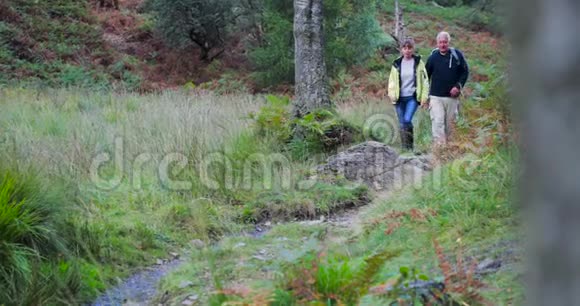 老年夫妇徒步穿越林地视频的预览图
