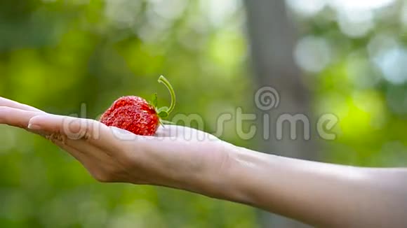 浆果成熟的草莓在女孩的掌心视频的预览图