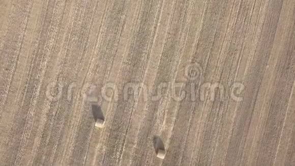 干草堆上的稻草收割小麦后秋天农场风景与干草堆空中镜头视频的预览图
