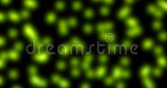 细菌或微生物细胞在显微镜下的彩色化学绿色液体视频的预览图