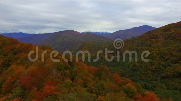 飞越高加索秋色山林视频的预览图