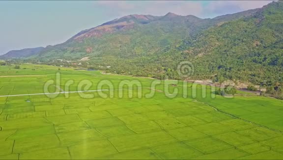 从山道俯瞰稻田景观视频的预览图