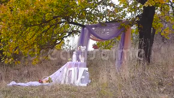 婚礼设置在花园公园在公园举行婚礼婚礼桌子在树下装饰漂亮视频的预览图