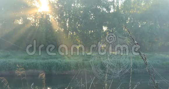 第一缕阳光洒在河上朦胧的黎明带有鸟鸣的视频视频的预览图