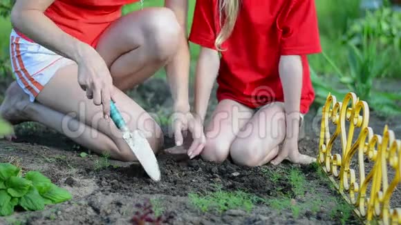 女人和孩子在后院的花园里种苗浇水视频的预览图