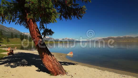 阳光明媚的一天在一个山湖的岸边蒙古视频的预览图