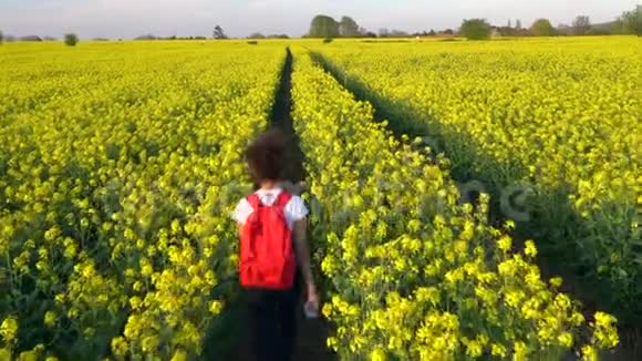 少女少女女青年带着红色背包和一瓶水在黄花种子地徒步旅行视频的预览图