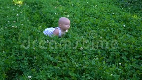 小男孩爬在草地上视频的预览图