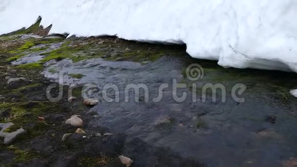 冰川融化的小溪流中的冷水视频的预览图