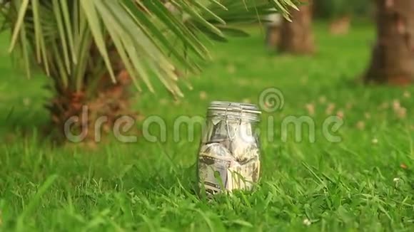 一个装有纸币的玻璃瓶放在棕榈树的背景上累积休假储蓄视频的预览图
