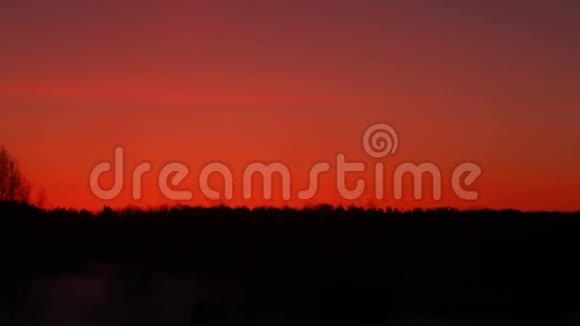 日落时的森林剪影红日落在森林之上日落背景视频的预览图