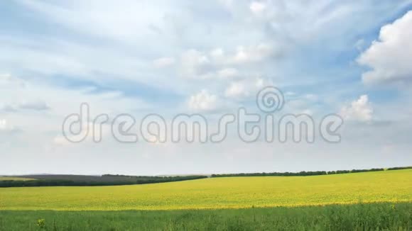 淡淡的白云在一片春天的田野上划过天空视频的预览图