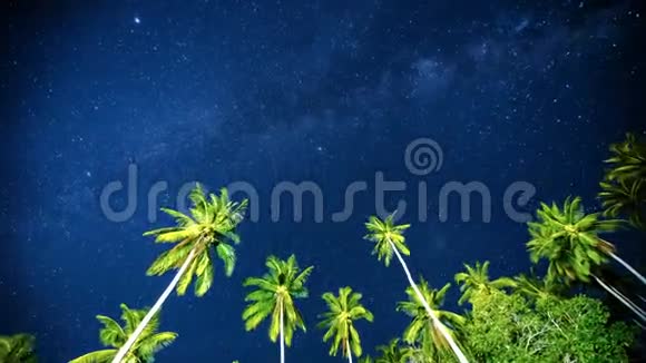 4K时间推移泰国萨梅岛热带棕榈树上方的星空视频的预览图