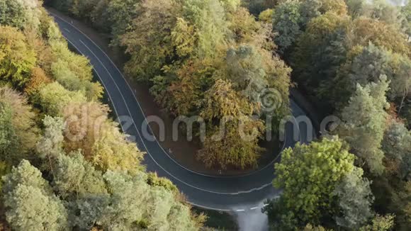 从空中俯瞰森林中央的一条道路向外放大视频的预览图