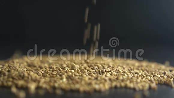 浇荞麦粒慢动作视频的预览图