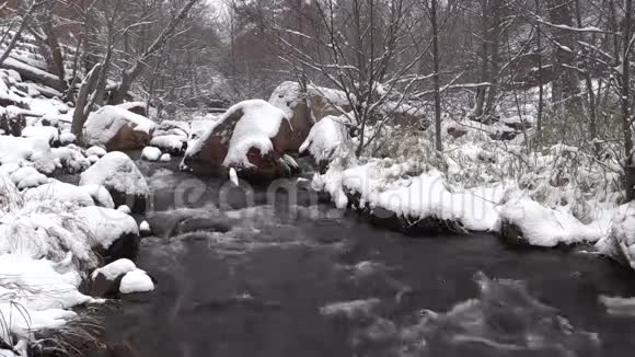 冬季背景视频的预览图