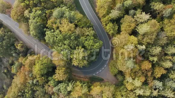 从空中俯瞰森林中央的一条道路向外放大视频的预览图