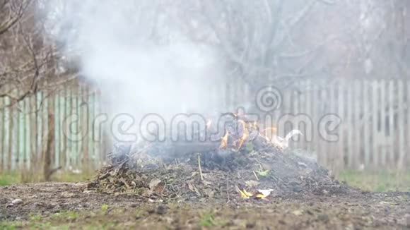 在自家小区内焚烧花园内的杂物树叶小树杂草慢动作视频的预览图