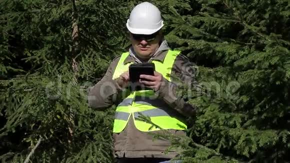 森林工程师在杉木附近工作视频的预览图