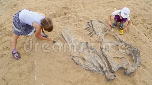 恐龙骨骼的考古发掘视频的预览图