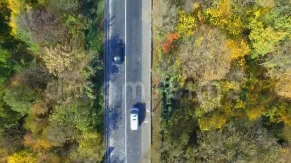 从空中俯瞰穿越彩色森林的汽车视频的预览图