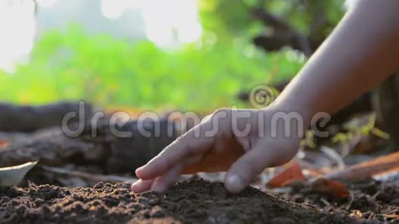 女人的手把种子撒在地上用大自然的声音浇水视频的预览图