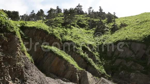 在Kunashir岩角旁的绿草丘陵视频的预览图